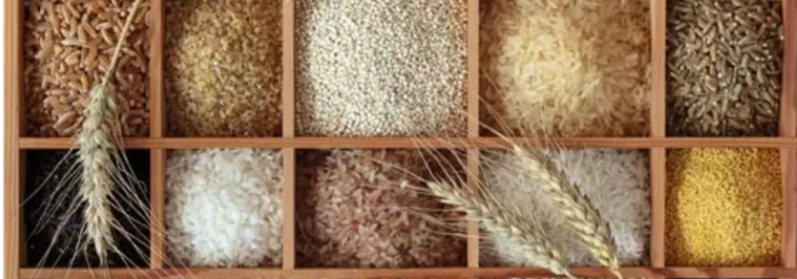 We LOVE organic bulk foods!