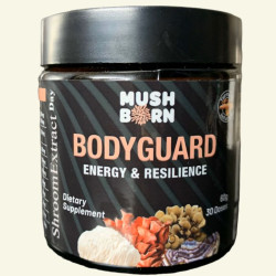 Shroom Elixir Day - Gut & Brain Support