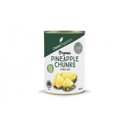 Organic Pineapple Chunks in Fruit Juice, 400g