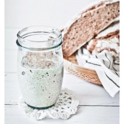 Sourdough Starter Kit