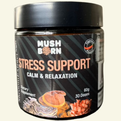 Shroom Elixir Night - Relaxation & Rejuvenation