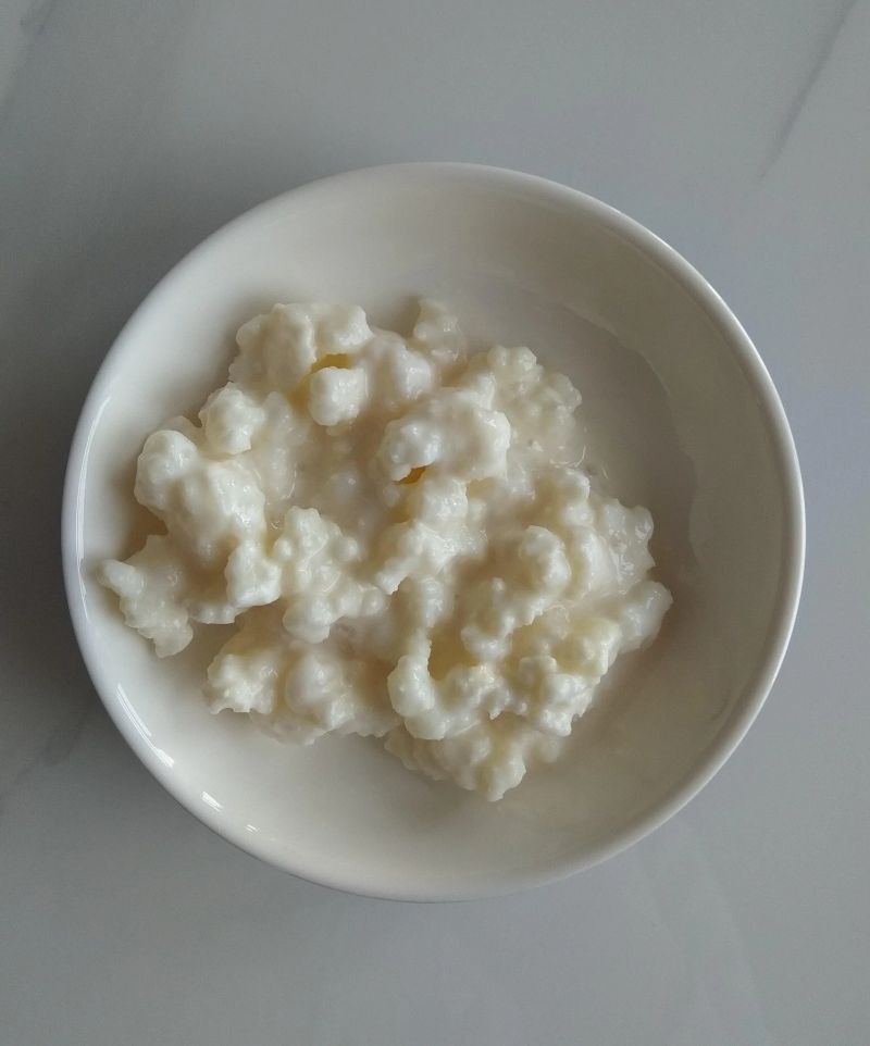 Milk Kefir Grains - Starter Culture